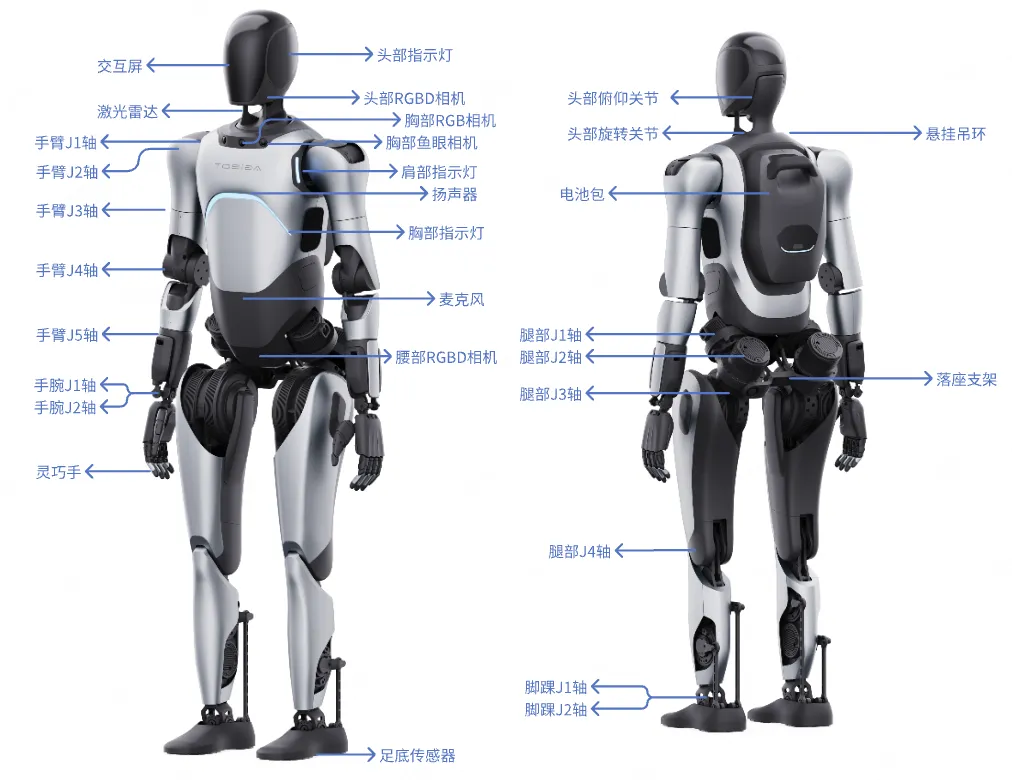手臂各个关节示意图